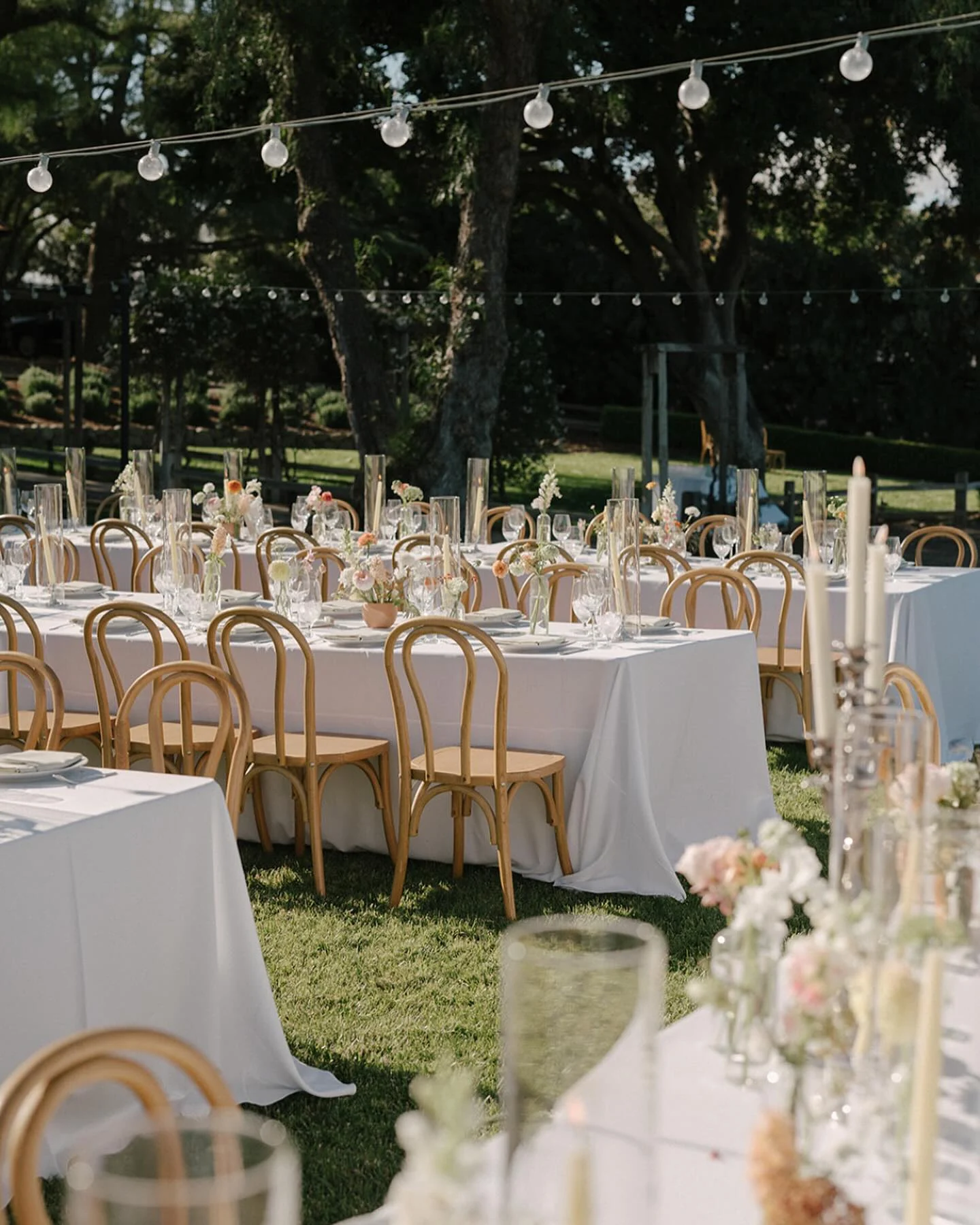 Long white-linen tables and cane chairs set on the lawn under string lights at 27 Vines
