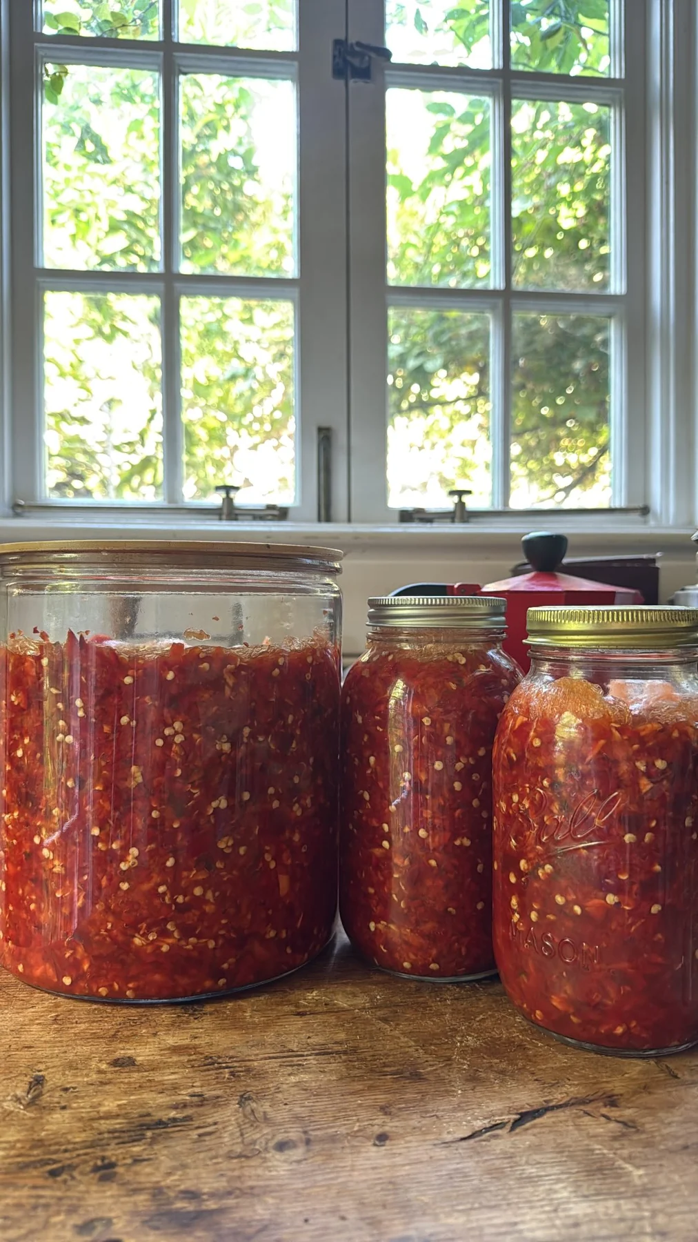 Tall glass jars of preserved red chilies on a worn wooden counter in front of a sunlit window