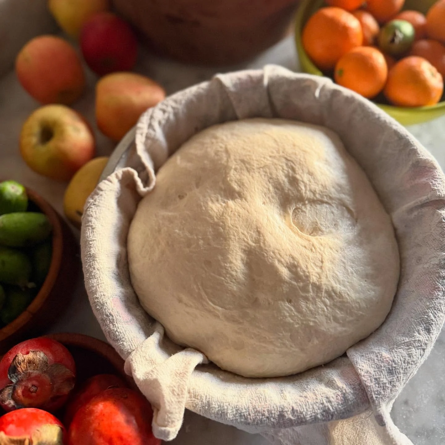 A round of bread dough proofing in a cloth-lined basket, surrounded by bowls of apples, citrus and pomegranates