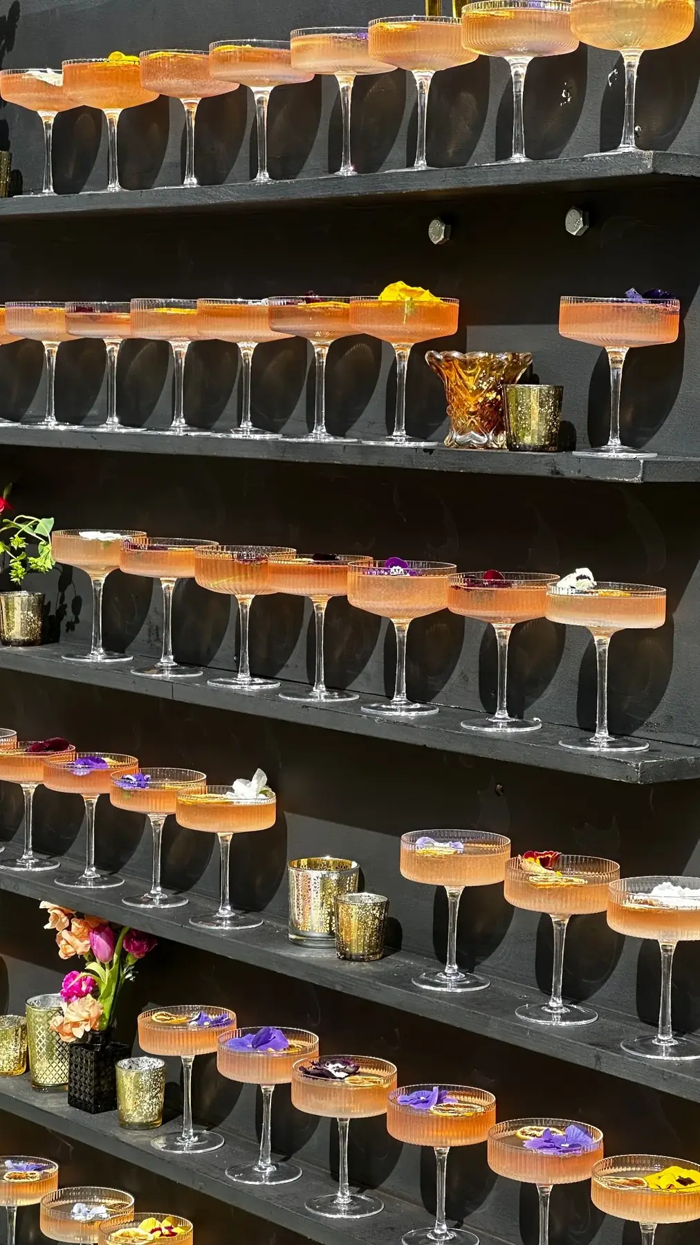 Tiered shelves lined with ribbed coupe glasses, each garnished with edible flowers and dried citrus