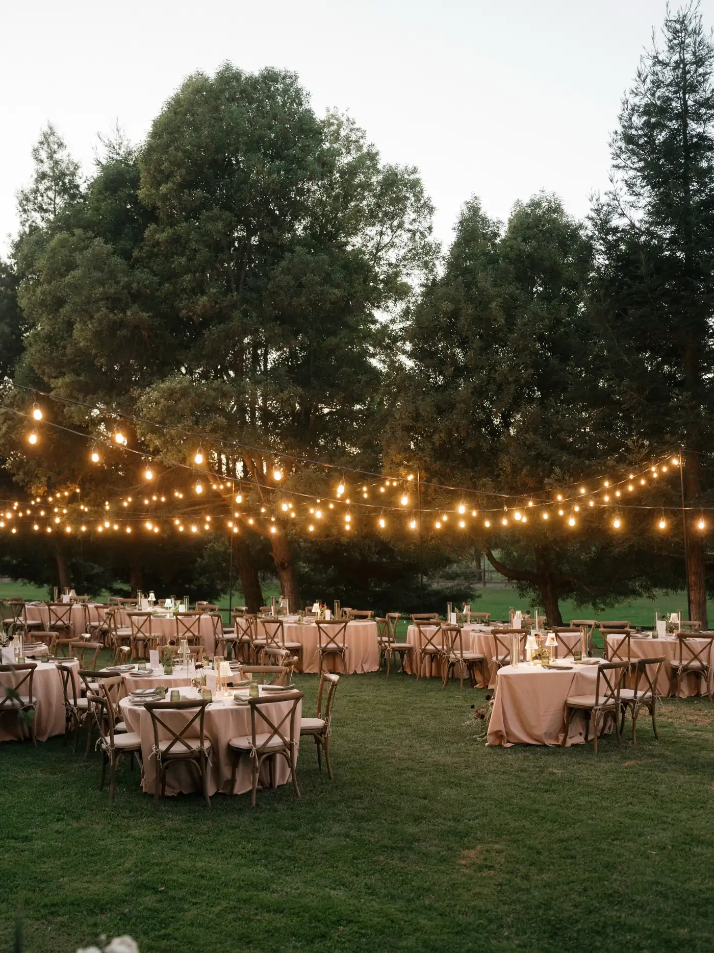 Reception tables under string lights at Cavalli Estates