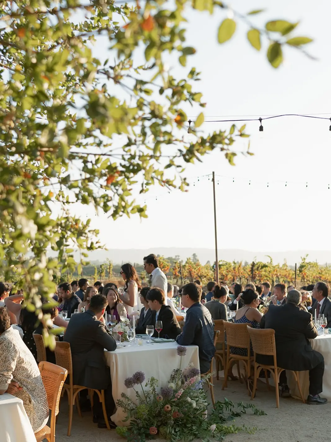 Guests dining at long tables among the vines at Gundlach Bundschu