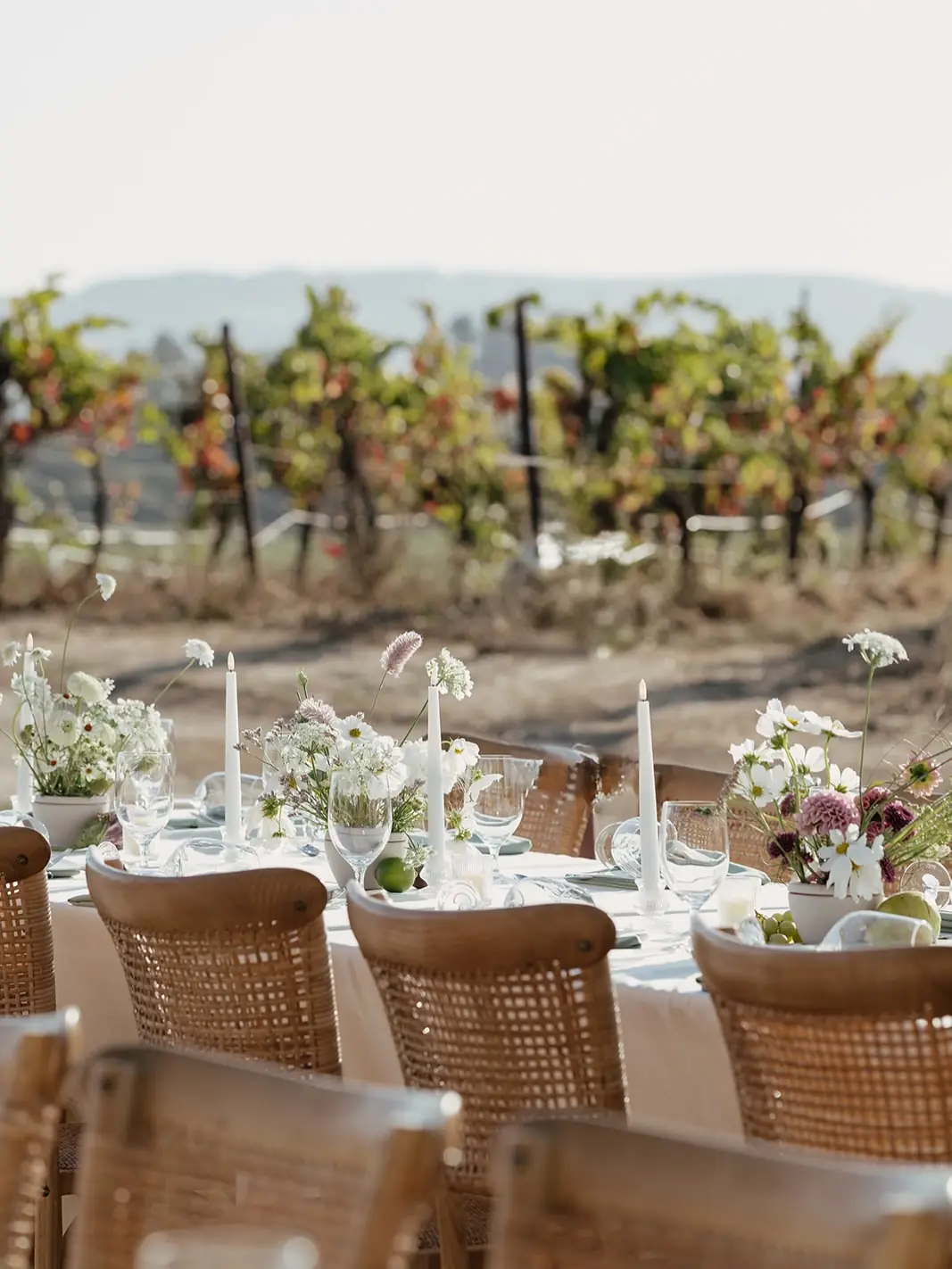 A candlelit tablescape set for a vineyard dinner at Gundlach Bundschu
