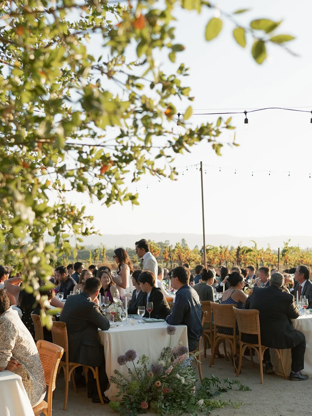 A vineyard wedding reception at Gundlach Bundschu in Sonoma