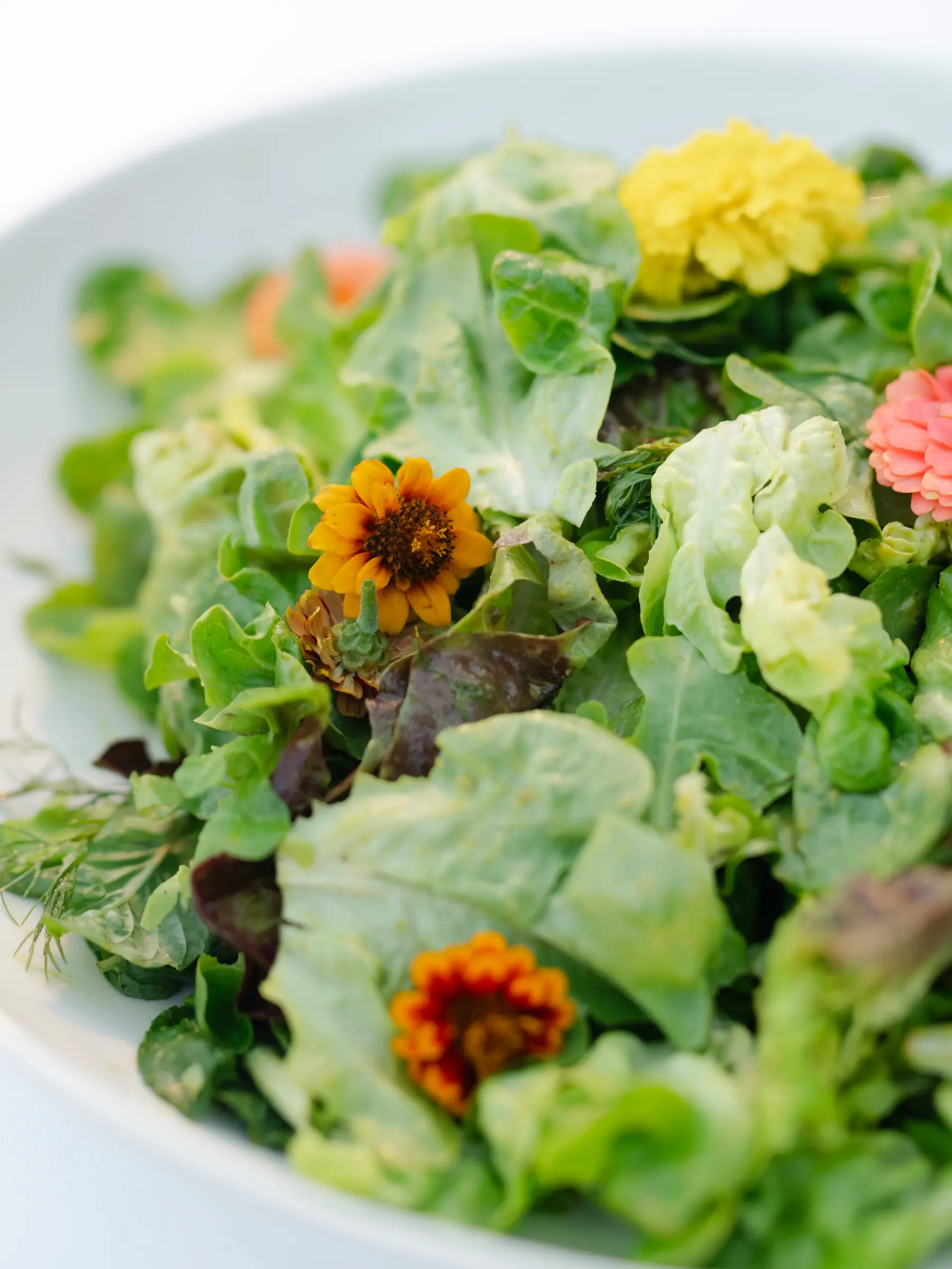 A salad of mixed leaves and herbs scattered with whole edible flowers