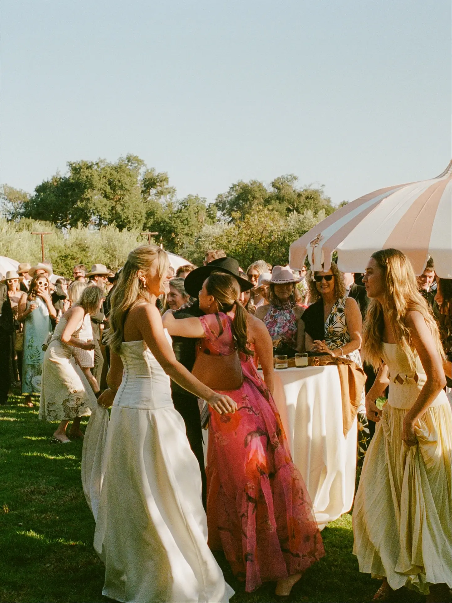 Guests at cocktail hour under the trees at Rancho Carmina