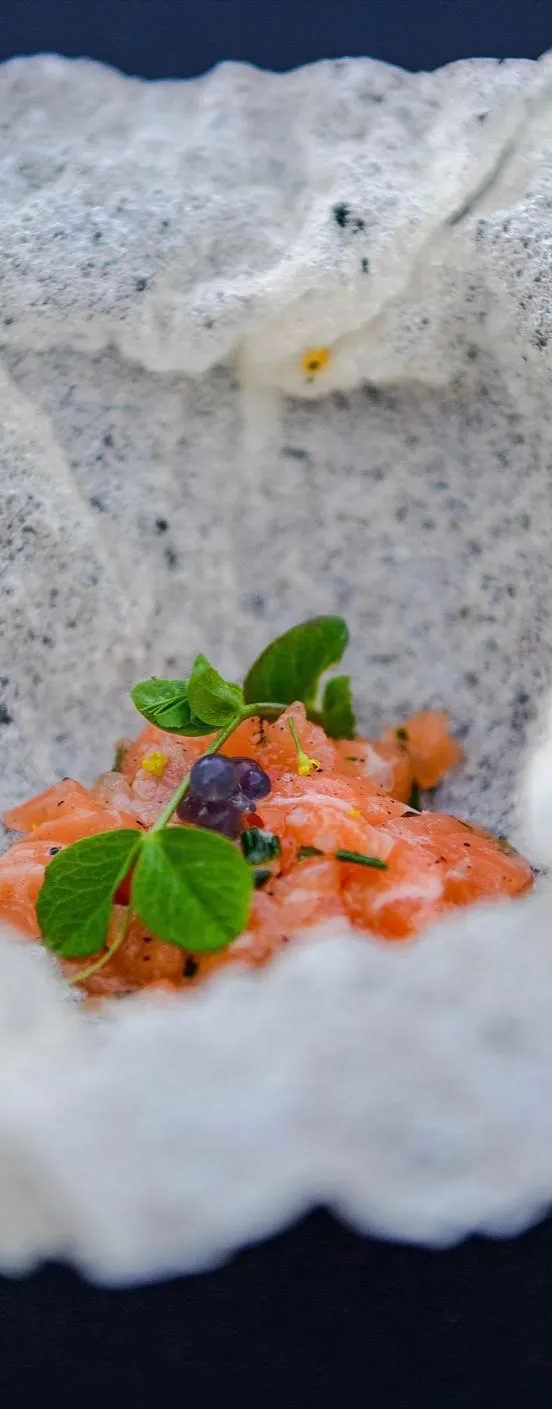 Cured salmon crudo