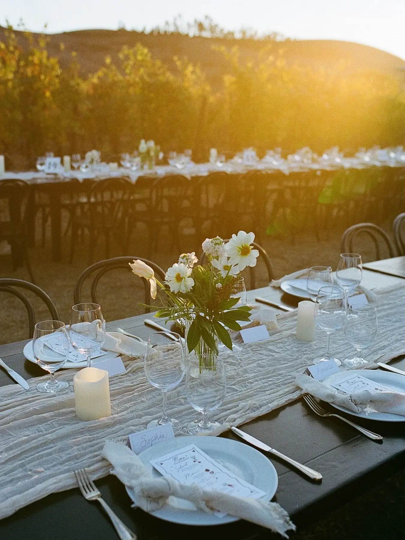 A place setting and bud vase on a long table with the hills at sunset behind it at Stolo Vineyards