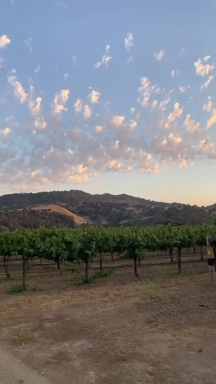 Vineyard rows below the hills under a pink-clouded sky at Sunstone Villa