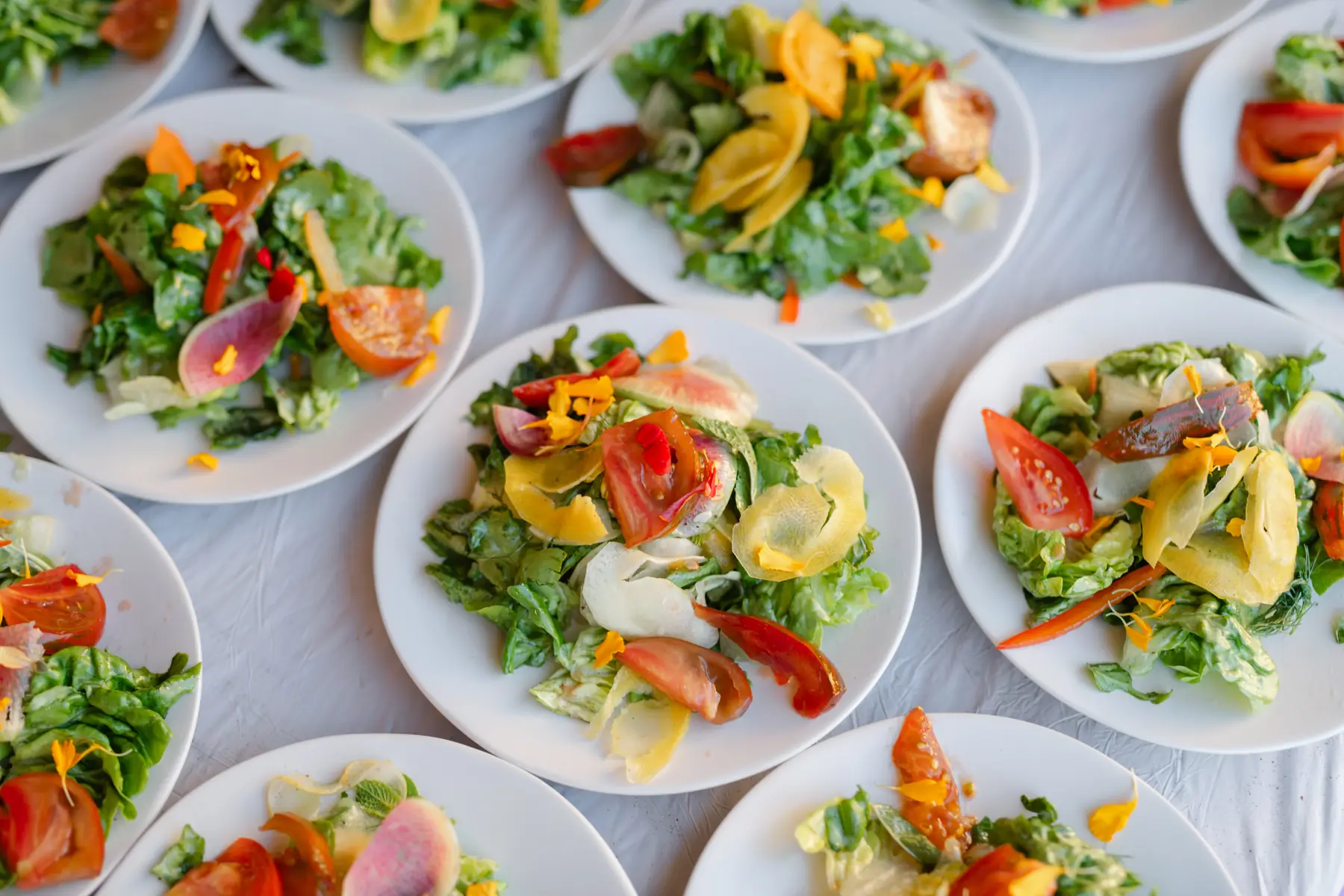Plated salads with tomato, shaved radish and edible flower petals lined up for service at Sunstone Villa