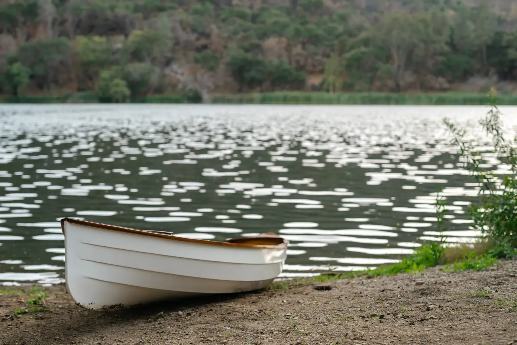 A white rowboat pulled up on the shore at Zaca Lake, wooded hills across the water