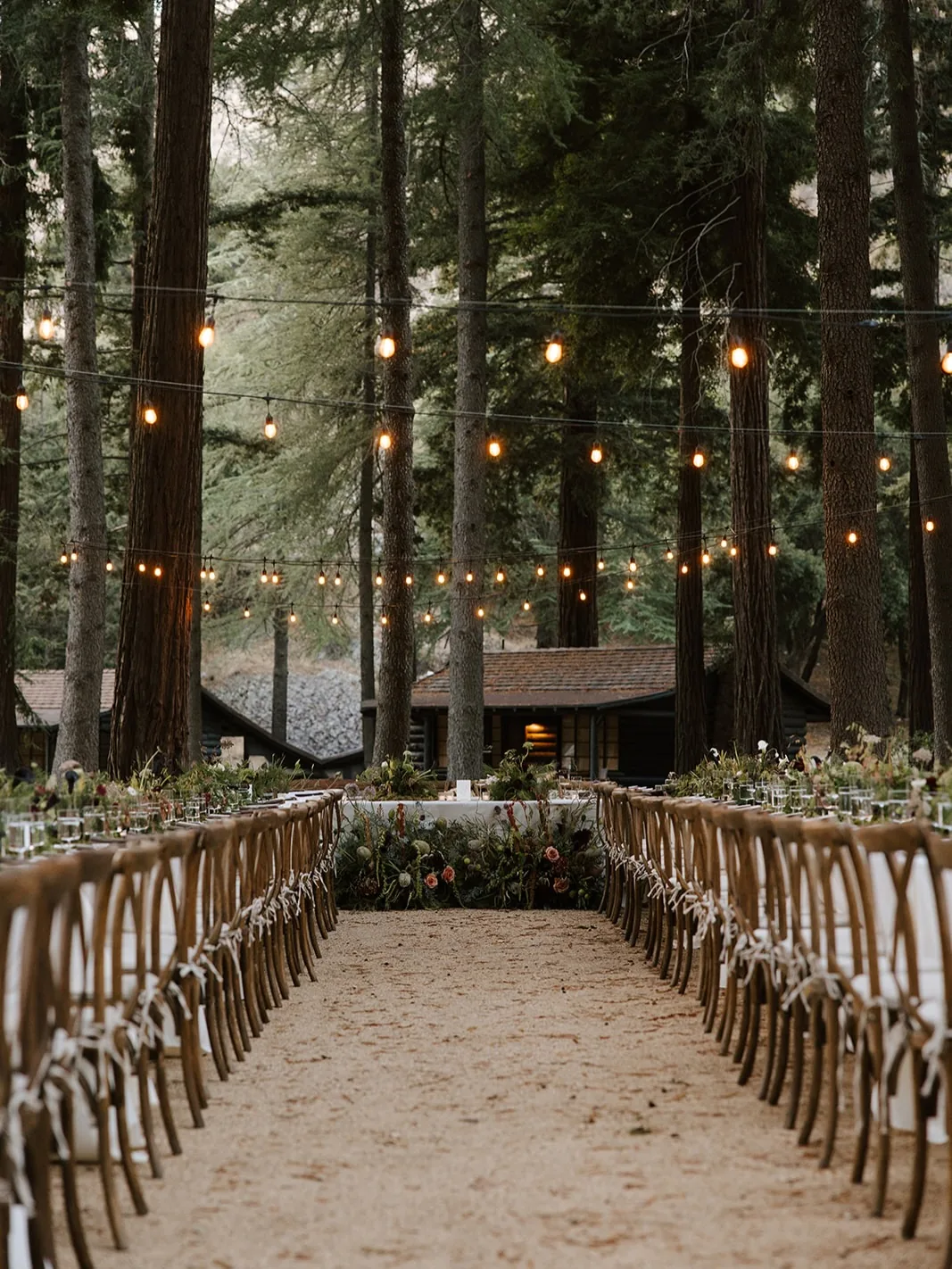 A woodland wedding ceremony aisle under string lights